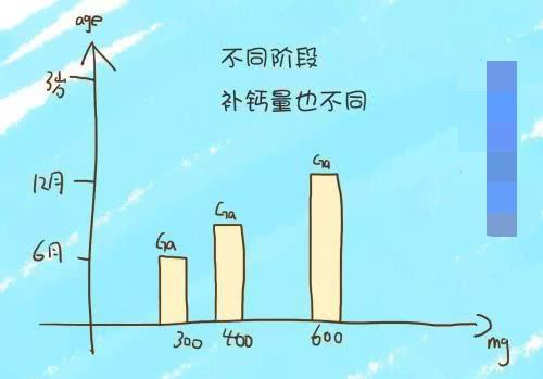 不同阶段儿童的补钙量是多少？权威数据告诉你，应该这么补