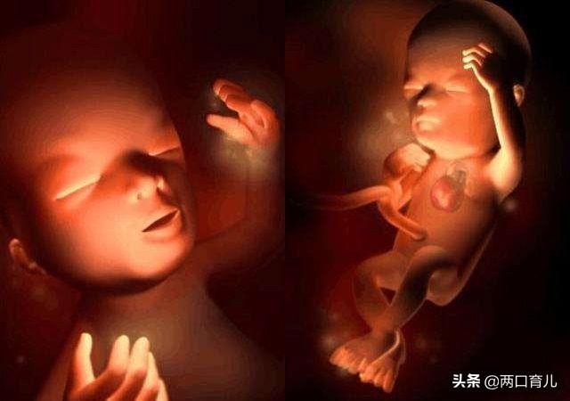 怀孕不全是遭罪，也会出现4个“乐子事”，你们遇到过哪一个？