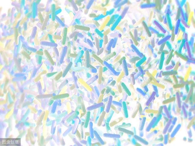 婴幼儿肠道健康的关键在肠道菌群！做好3件事，避免肠道菌群失调