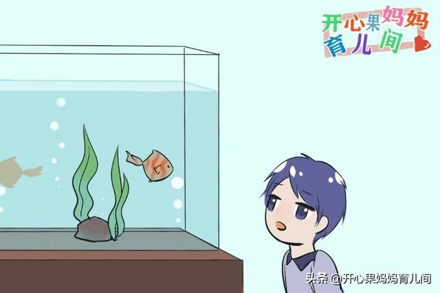 “妈妈，你为什么不懂我？”实用“鱼缸法则”，值得每个家长学习
