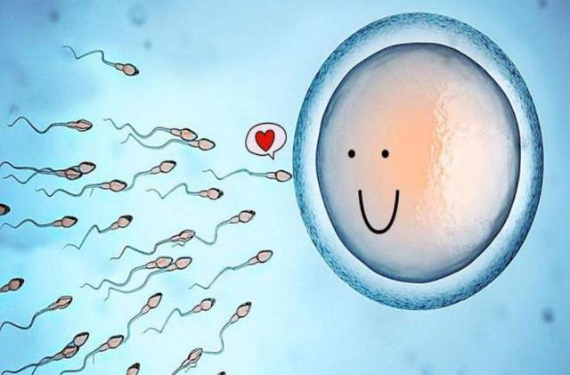 为了能快点怀上宝宝，3个黄金时间，备孕夫妻别再错过了