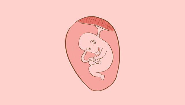 剪断脐带时，到底是妈妈疼还是宝宝疼？答案有些出人意料