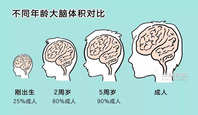 为什么总说，“头三年是孩子大脑发育关键期”？