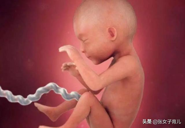 除了孕初期胎儿容易畸形外，还有这3件事，也容易引发胎儿畸形
