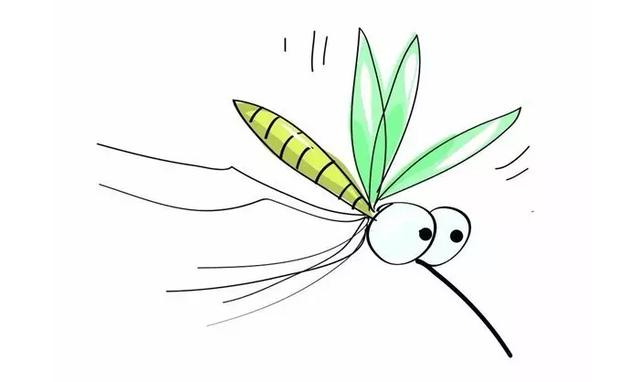 如何让蚊虫远离宝宝？最完整攻略！大人也适用