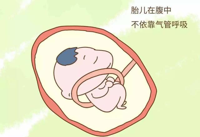 胎儿出现脐带绕颈很危险？孕妈不要过度紧张，注意这几点就够了