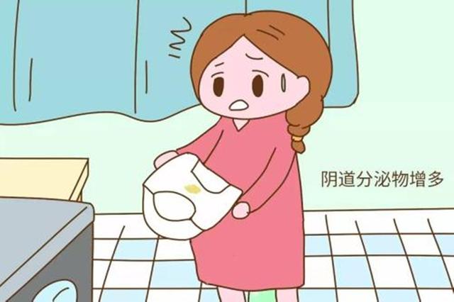 女性排卵时，身上会出现这3个“信号”，备孕的夫妻可要抓住机会