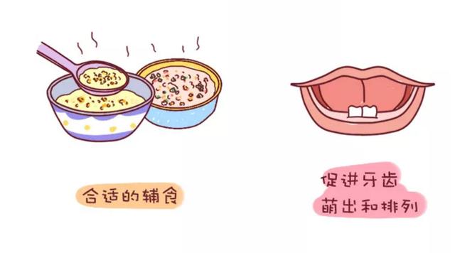 「新生儿」宝宝的辅食一开始就吃米粉，那米粉到底要吃多久？