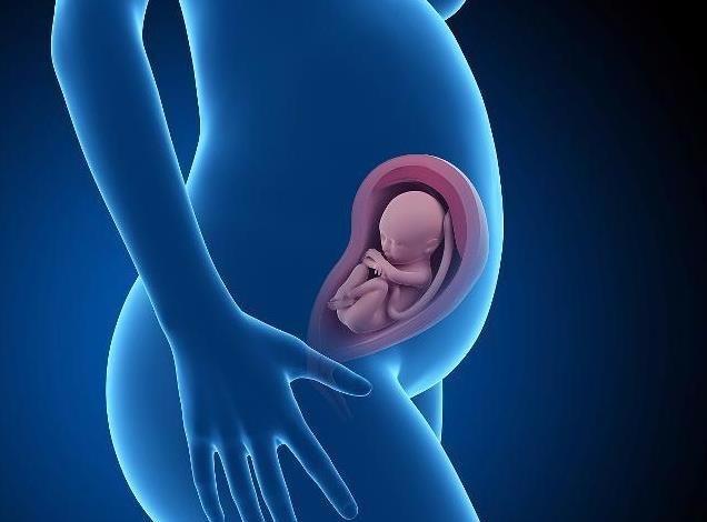 子宫只为了怀孕生子而存在？错！子宫的这4个作用，你也该清楚