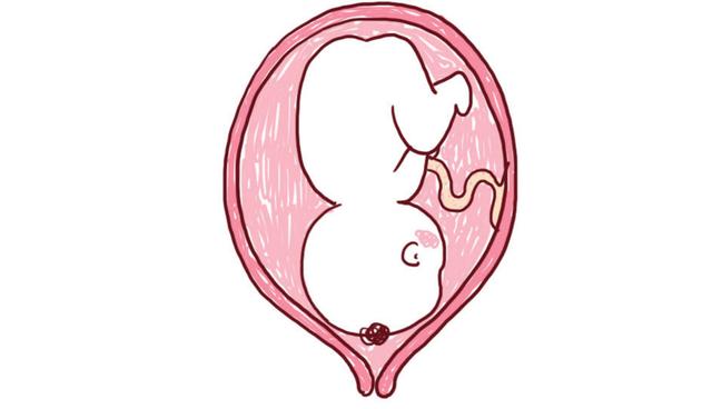 「李医生谈备孕」乙肝大小三阳的女性可以正常怀孕分娩吗？
