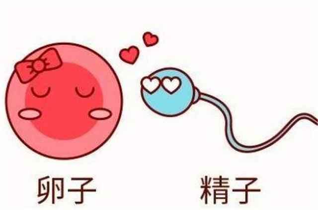 20岁女孩腹痛就医，却被告知已怀孕，女孩：不可能，我还是处女身