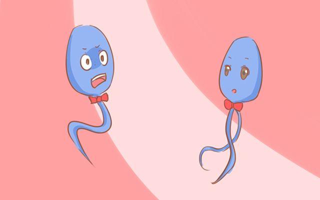 “男翻女，女翻男”真的存在吗？其实宝宝的性别这个时候就定了