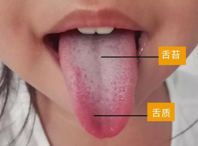 分不清寒、热、积，如何食疗护理孩子？