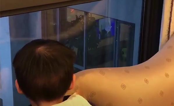 宝宝在窗边一动不动，妈妈以为是孤独了，等走到面前一看哭笑不得