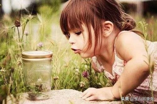 教育孩子的最佳切入点：发现孩子的闪光点