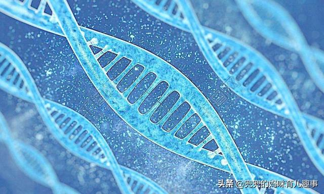 孕期不想长妊娠纹？这4类孕妇很容易“中招”，要提早防护