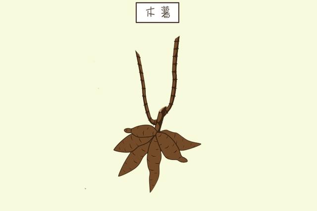 ?女性怀孕后不能吃的东西，比大家想象中常见，别因为不懂而误食