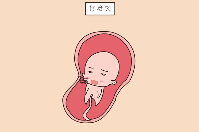 ?胎儿日记：胎宝宝在肚子中是如何度过每一天的，看完心要融化了