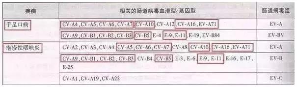 比手足口病还厉害？疱疹性咽峡炎高发期，如何防治看这里