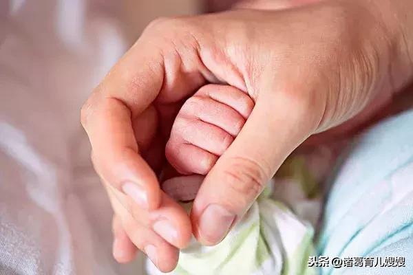 育儿经——3岁之前婴幼儿早期教育的那些事儿