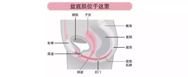 产后妈妈身材恢复一定要做的事儿，很多妈妈都错过了