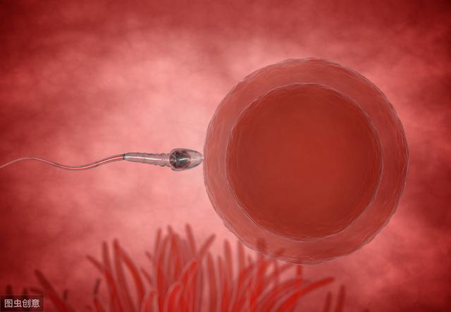 女人一生有400次怀孕机会！但最佳受孕机会也只有84次