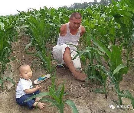 孩子，爸爸没有双手，依然可以抱你长大
