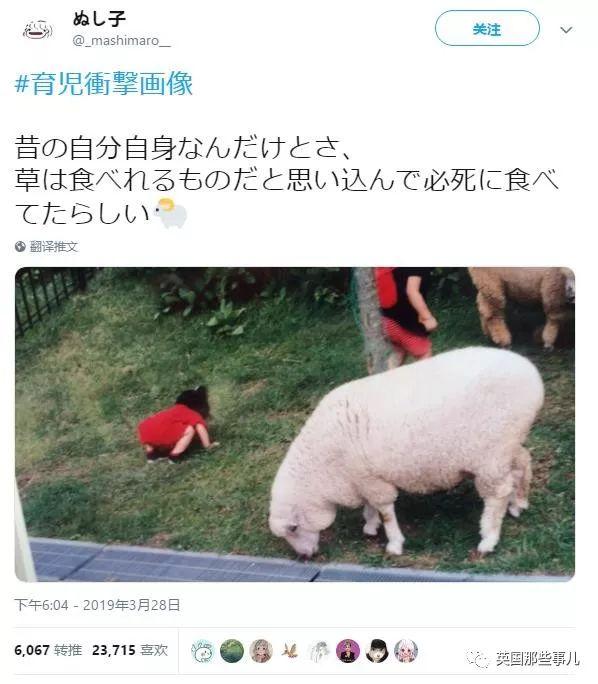 父母晒出育儿过程中，让人意想不到的瞬间，这画风，笑翻了