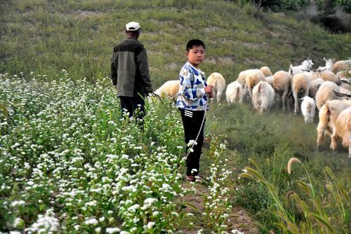 宝妈送孩子去城里亲戚家，亲戚拒不接收，“塑料亲情”咋来的？