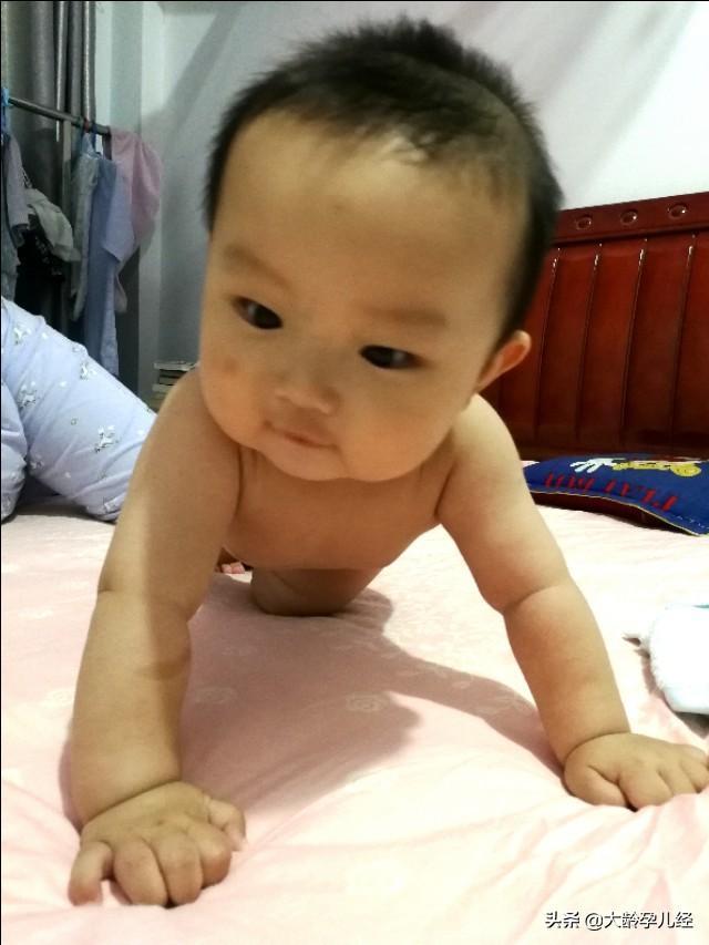 家长如何帮助宝宝学会爬行?