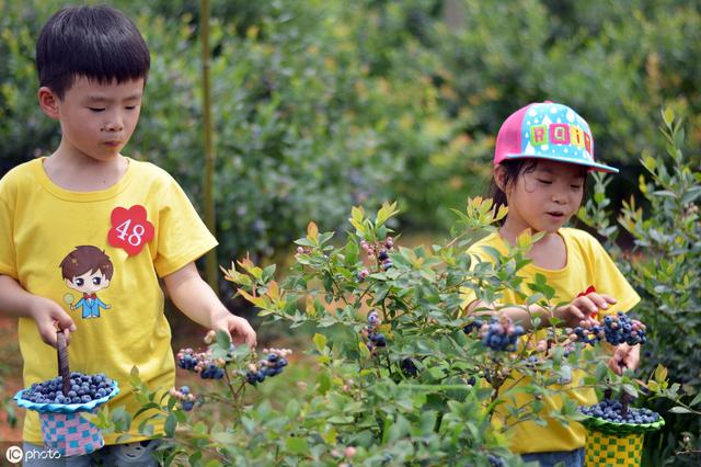 5个方法教育孩子爱惜劳动成果