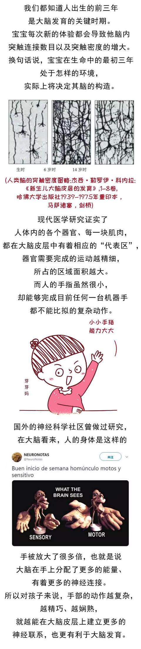 长期喂饭关系得不仅是生活习惯培养，居然会损伤宝宝大脑……