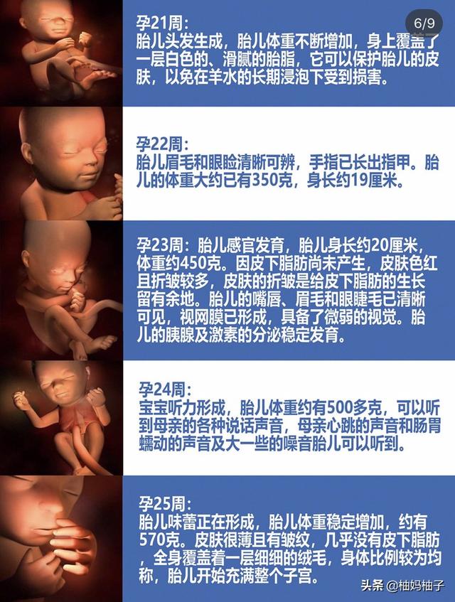孕期1-40周胎儿发育详细过程，彩色3D图版，了解一下