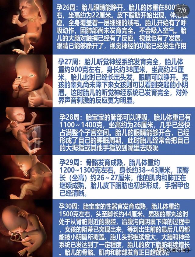 孕期1-40周胎儿发育详细过程，彩色3D图版，了解一下