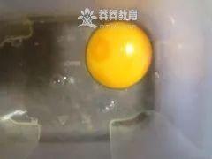 促进食欲——蛋菇记
