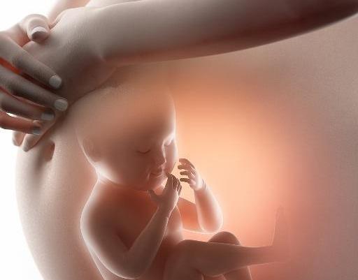 怀孕四个月肚子有多大？胎儿能力指标、孕妈生理特征，不妨早知道