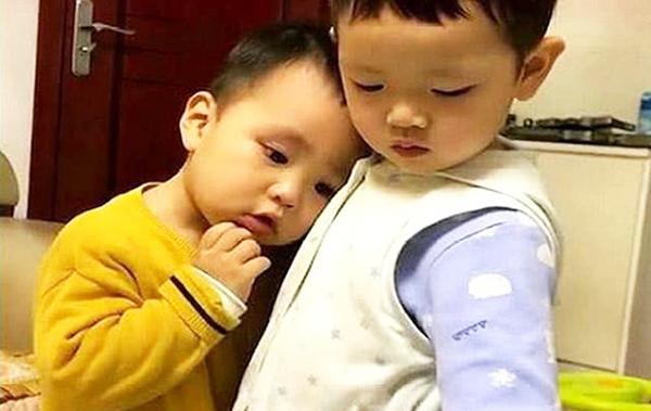 弟弟被妈妈骂后，趴在哥哥的怀里求安慰，哥哥：弟弟太小，不能打