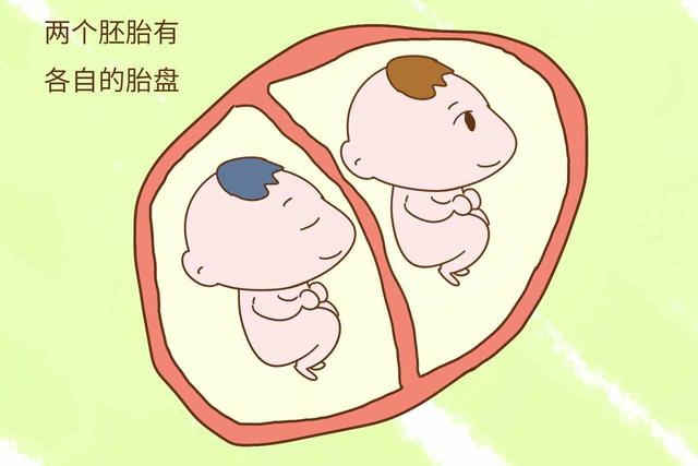双胞胎长的不像爸爸，亲子鉴定得出结论：“异卵双胎”爸爸懵了