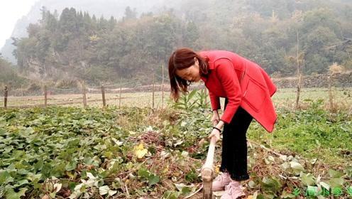 孕妈脚肿乱穿鞋酿成悲剧，为了宝宝健康，这些鞋不要再穿了