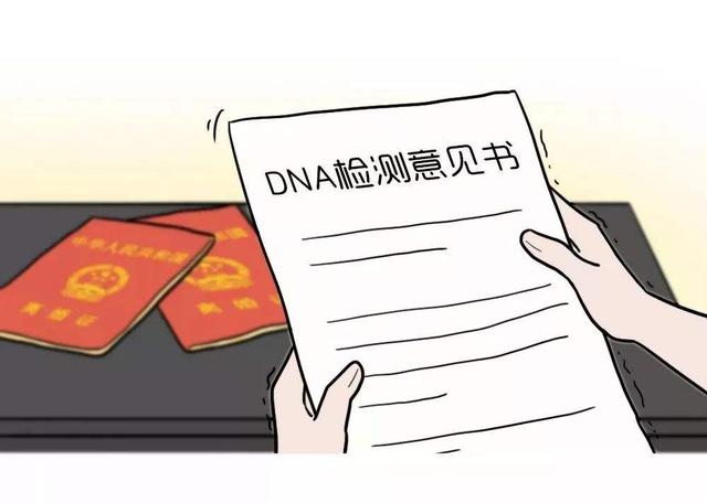 双胞胎长的不像爸爸，亲子鉴定得出结论：“异卵双胎”爸爸懵了