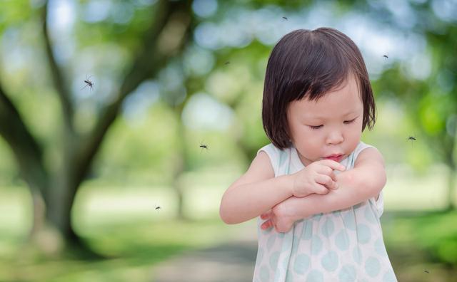 孕妇和宝宝更易招蚊子，主要是因为这3点，你中招了吗？