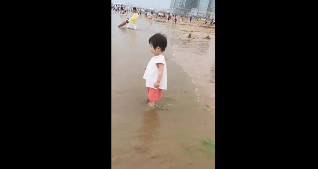 最近这位宝宝火了，萌娃第一次见到海浪，萌娃：你不要过来啊啊啊