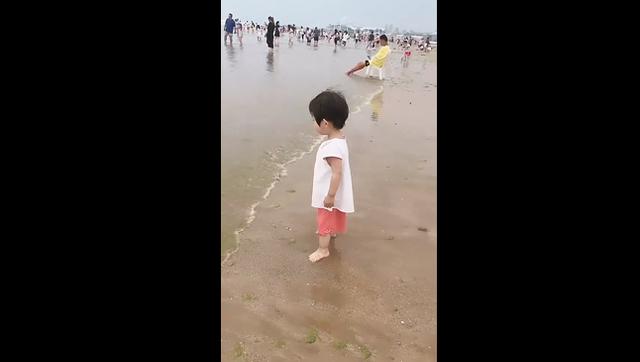 最近这位宝宝火了，萌娃第一次见到海浪，萌娃：你不要过来啊啊啊