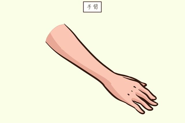 ?孩子长大是不是大高个？观察下这些部位就心里有数，占两个赢