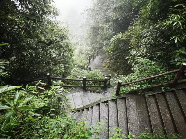 暑假遛娃指南，峨眉山送你3条妙计！