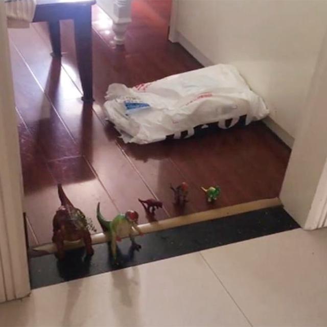 妹妹太粘人，哥哥又想写作业，用的这个办法一般人想不到，聪明