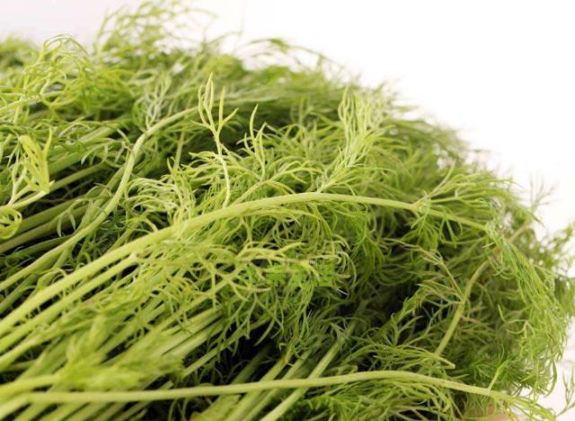 胃不好一定要养，7月多吃此菜，健胃驱寒止痛，肠胃越吃越健康