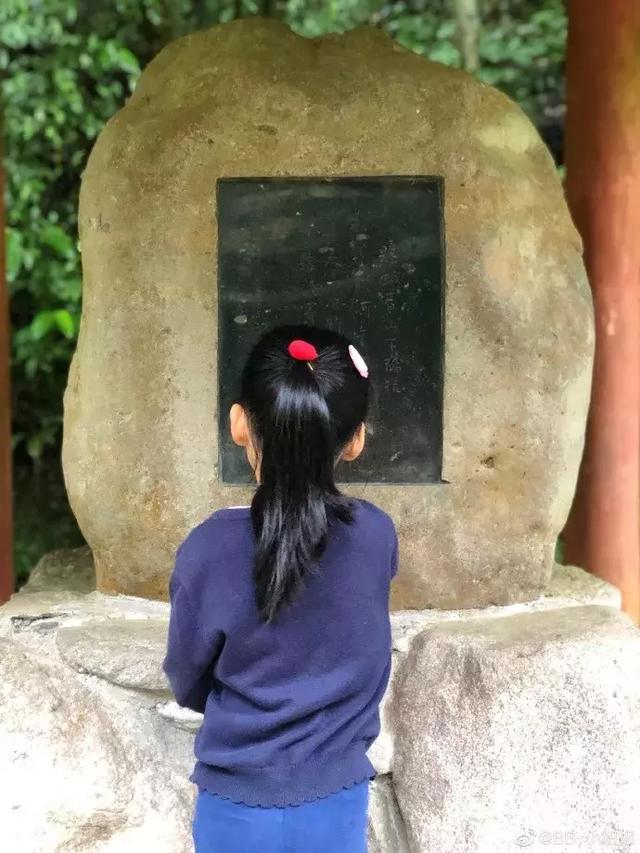 暑假遛娃指南，峨眉山送你3条妙计！