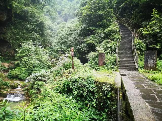 暑假遛娃指南，峨眉山送你3条妙计！