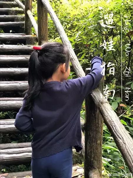 暑假遛娃指南，峨眉山送你3条妙计！